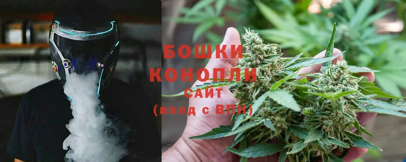 как найти   Буй  Бошки марихуана OG Kush 